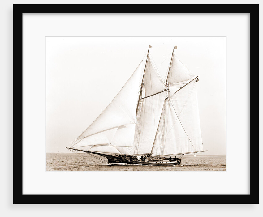 Adrienne (Schooner), 1883 by Anonymous