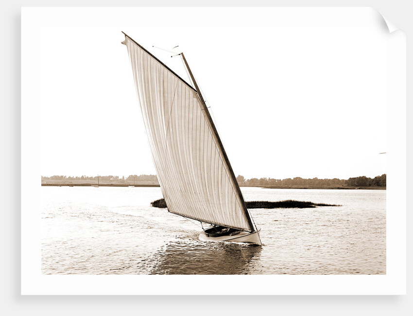 Rocket (Sailboat), 1880 by Anonymous