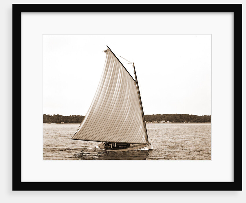 Rocket (Sailboat), 1880 by Anonymous