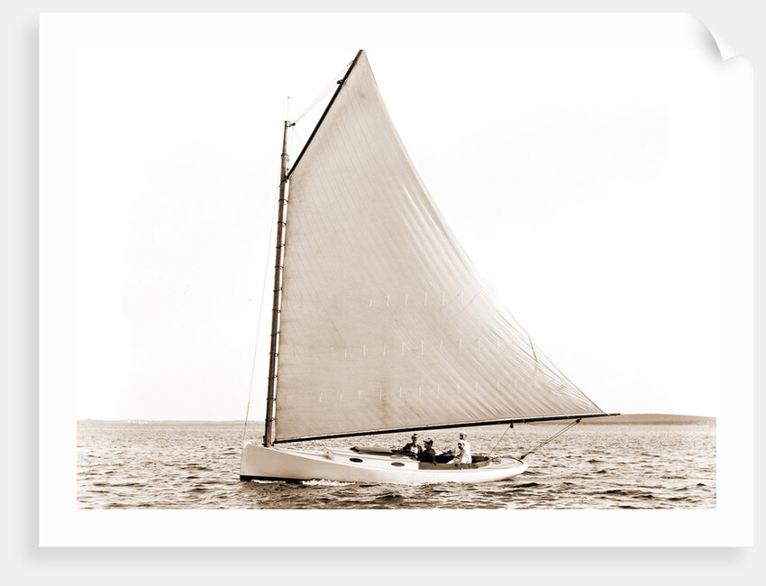 Firefly (Yacht) by Anonymous