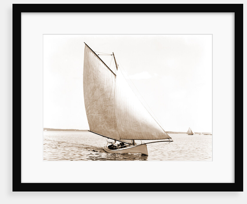 Josephine (Sailboat), 1880 by Anonymous