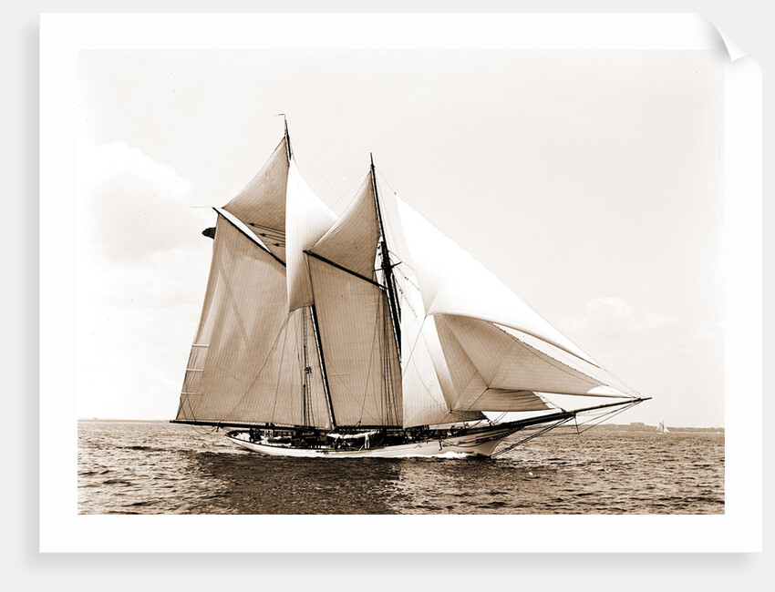 Fleur-de-lis (Yacht) by Anonymous