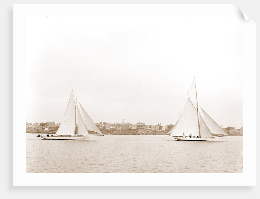 Hawk and Handsel, Hawk (Yacht) by Anonymous