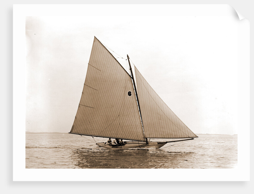 Tadpole (Yacht) by Anonymous