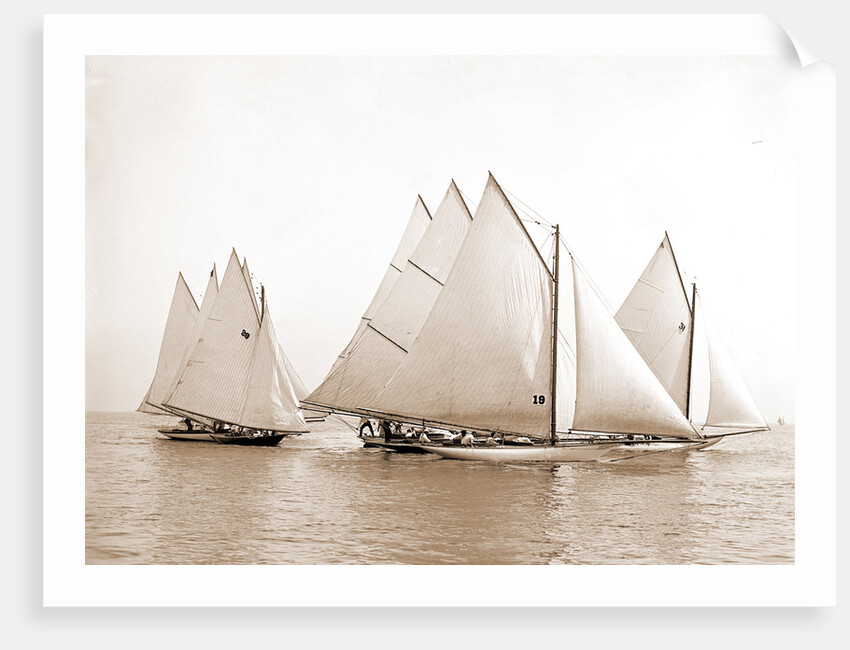 Start, twenty-one footers, Regattas, 1892 by Anonymous