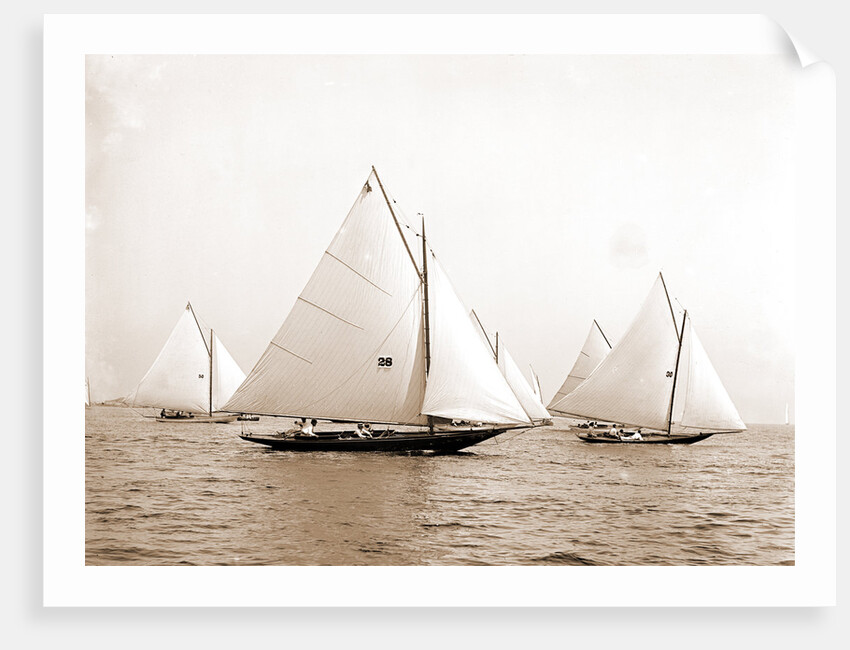 Pixie sic, Pyxie (Yacht) by Anonymous