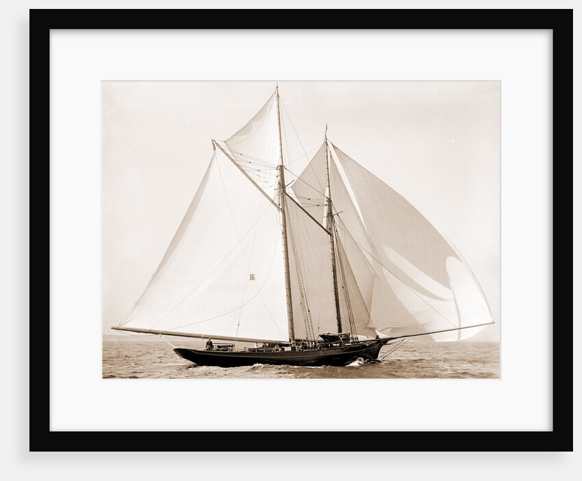 Fortuna (Schooner), 1892 by Anonymous