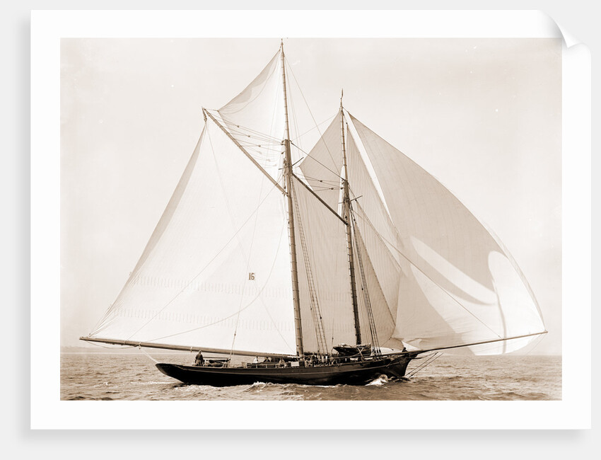 Fortuna (Schooner), 1892 by Anonymous