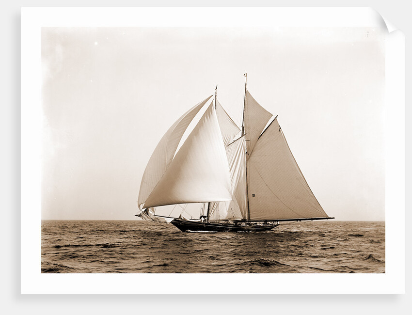 Lasca (Schooner), 1892 by Anonymous