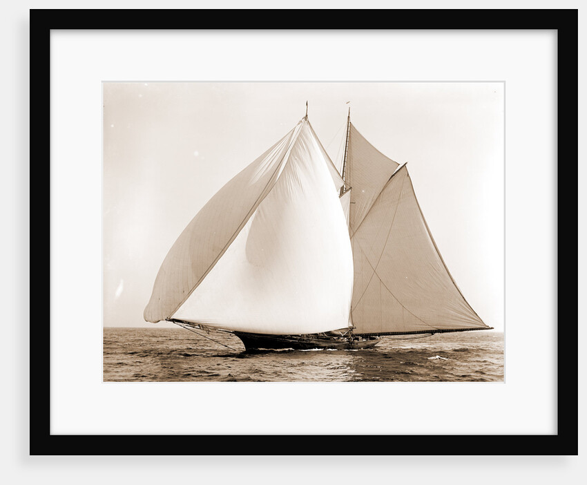 Constellation (Schooner), 1892 by Anonymous
