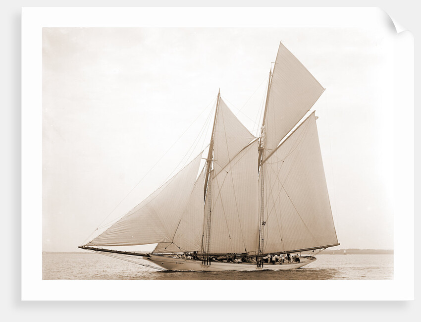 Alcaea (Schooner), 1892 by Anonymous