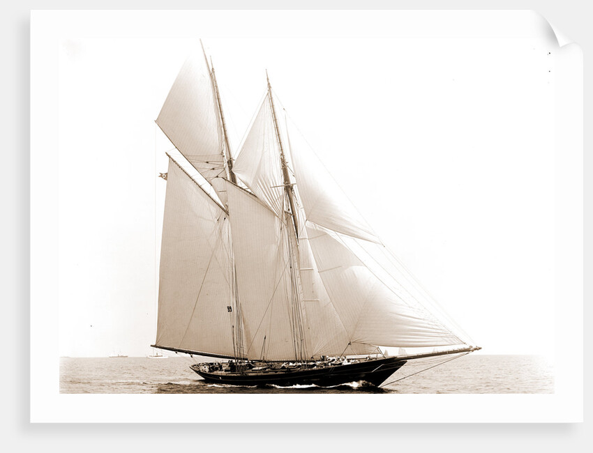 Lasca (Schooner), 1892 by Anonymous