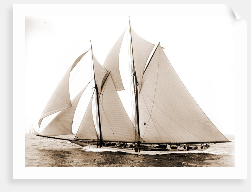 Alcaea (Schooner), 1892 by Anonymous