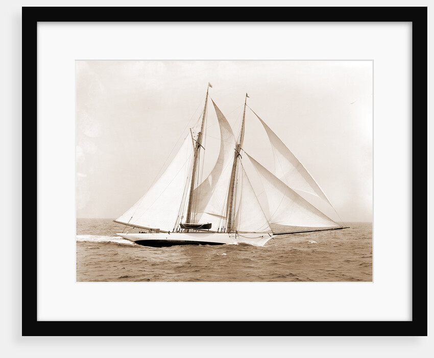 Oenone (Schooner), 1892 by Anonymous