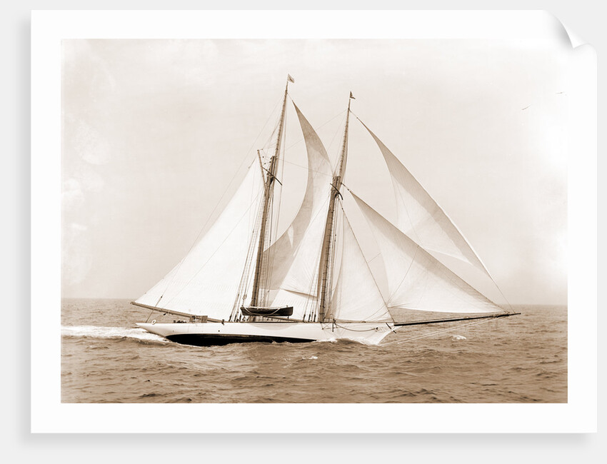 Oenone (Schooner), 1892 by Anonymous