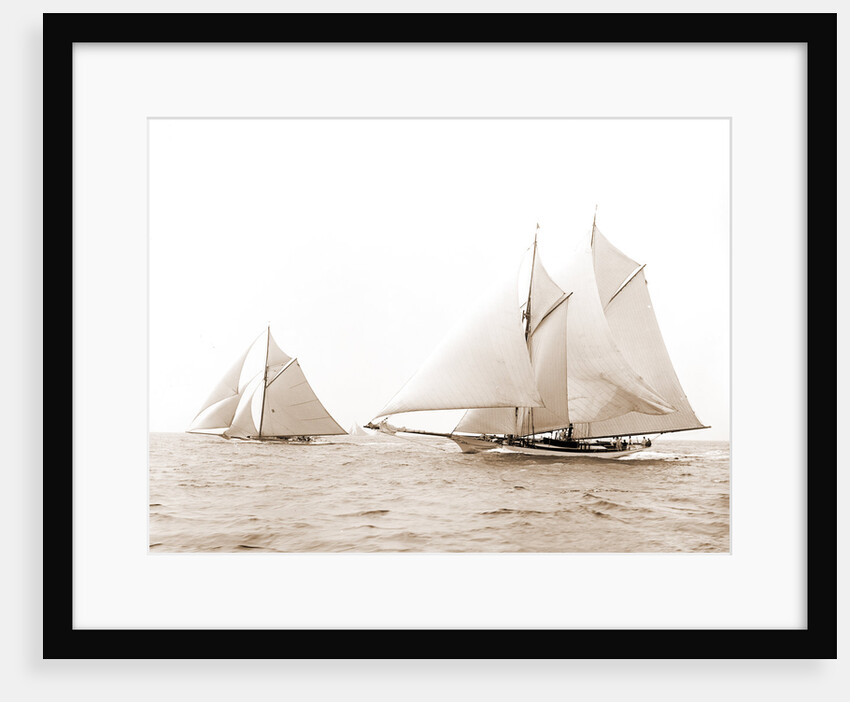 Quickstep and Gloriana, August 6, 1892, Quickstep (Schooner), Gloriana (Yacht) by Anonymous