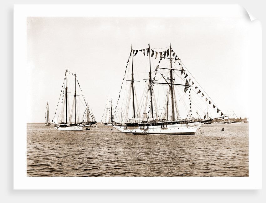Sultana (Steam yacht), 1892 by Anonymous