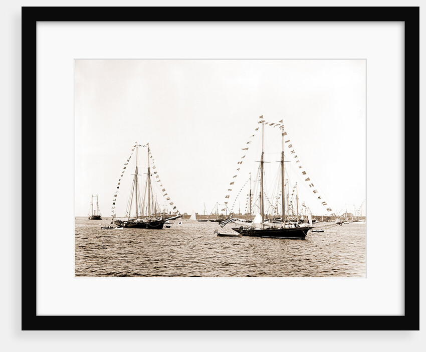 N.Y.Y.C. fleet, Vineyard Haven, New York Yacht Club, Yacht clubs, Massachusetts, Vineyard Haven, 1892 by Anonymous