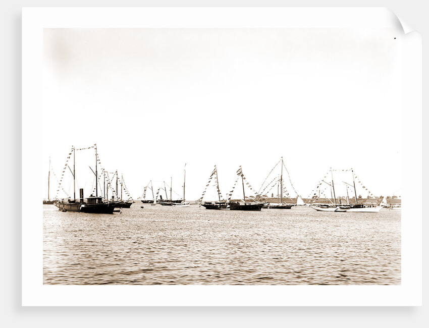 N.Y.Y.C. fleet, Vineyard Haven, August 7, '92, New York Yacht Club, Yacht clubs, Massachusetts, Vineyard Haven, 1892 by Anonymous