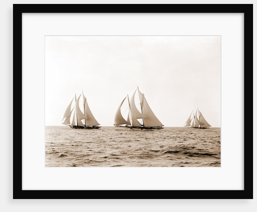 Ramona, Alcaea, and Merlin, Ramona (Schooner), 1892 by Anonymous