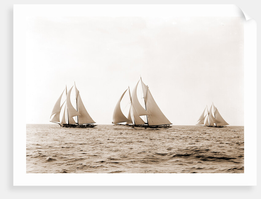 Ramona, Alcaea, and Merlin, Ramona (Schooner), 1892 by Anonymous