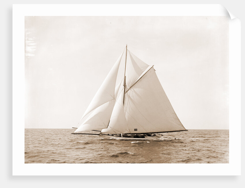 Harpoon (Yacht) by Anonymous
