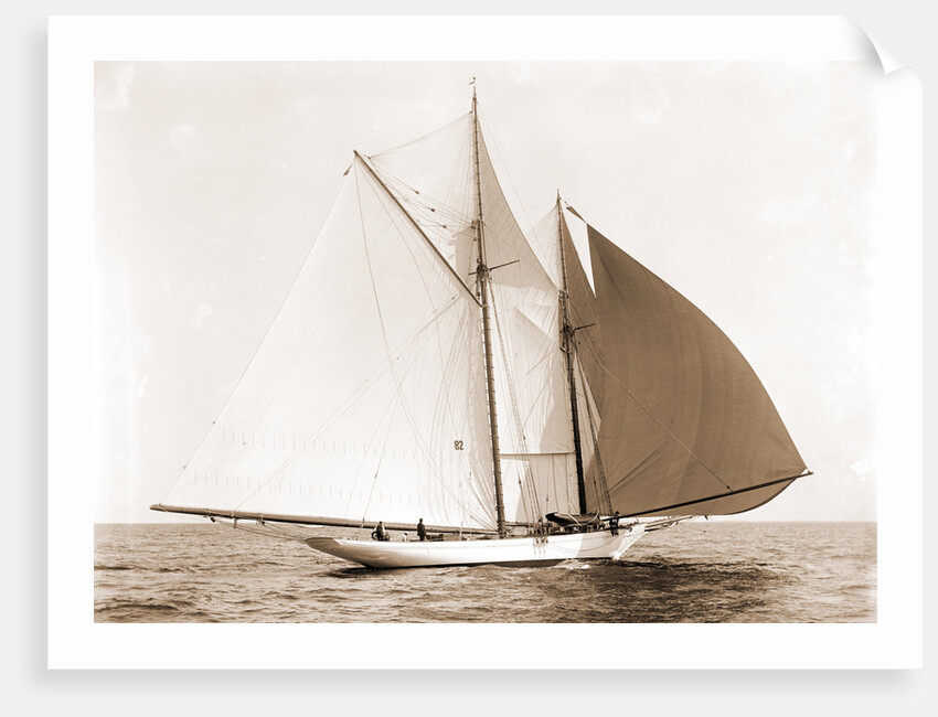 Alcaea (Schooner), 1892 by Anonymous
