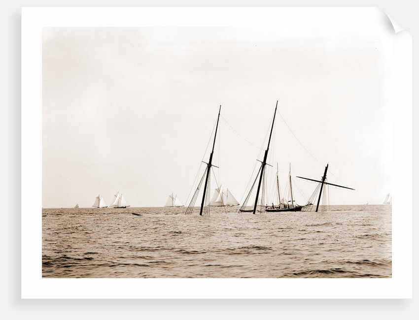 Wreck of Alba, Aug. 8, 1892, Alba (Yacht) by Anonymous