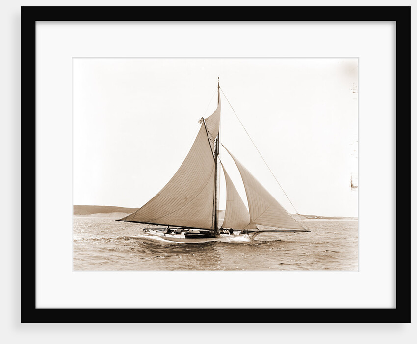 Babboon (Yacht) by Anonymous