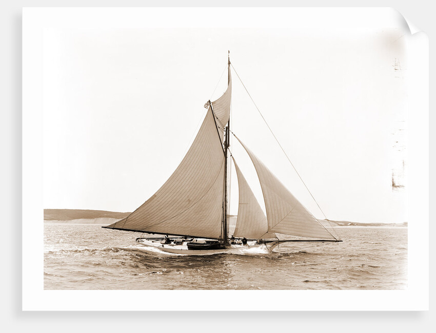 Babboon (Yacht) by Anonymous