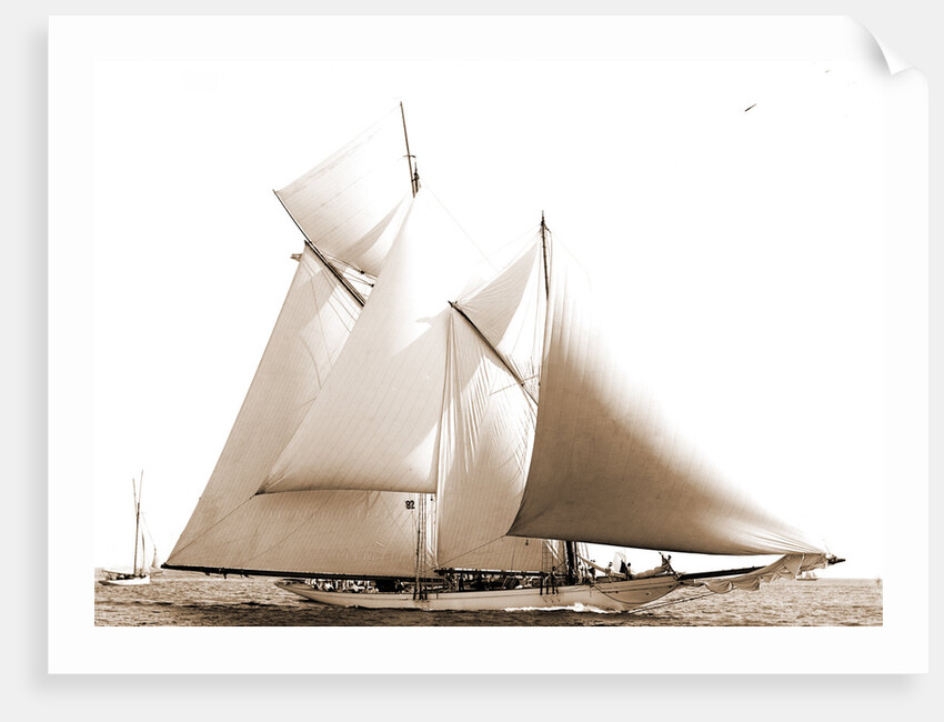 Constellation (Schooner), 1892 by Anonymous