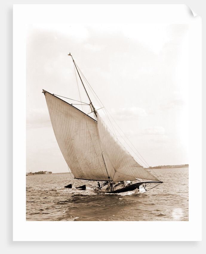 Whistler (Yacht) by Anonymous