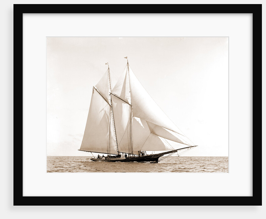 Foam (Schooner), 1880 by Anonymous
