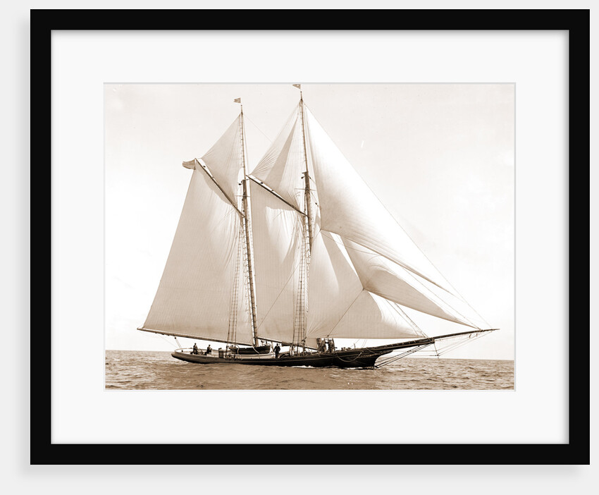 Foam (Schooner), 1880 by Anonymous