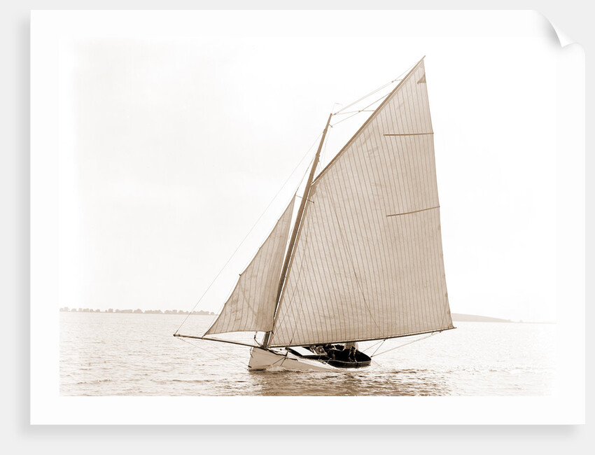Idler (Yacht) by Anonymous