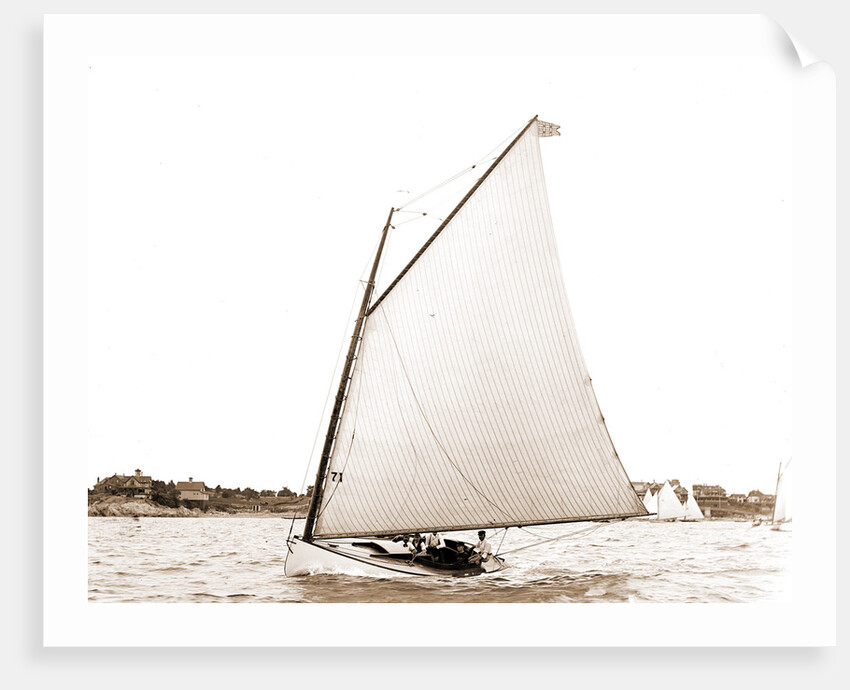 Magpie (Yacht) by Anonymous