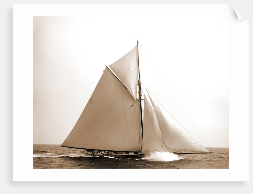 Colonia (Yacht) by Anonymous