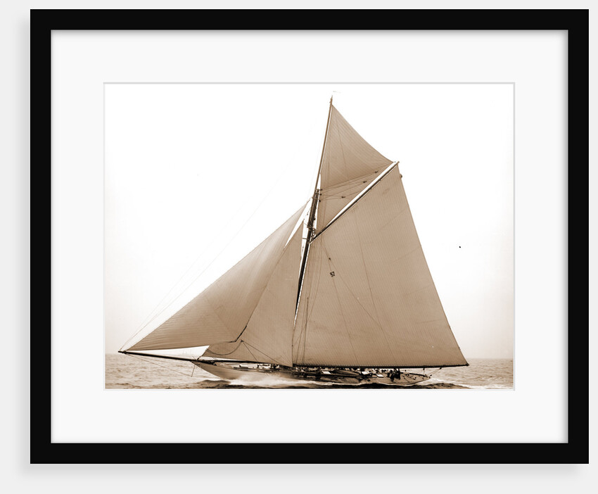 Vigilant (Yacht) by Anonymous