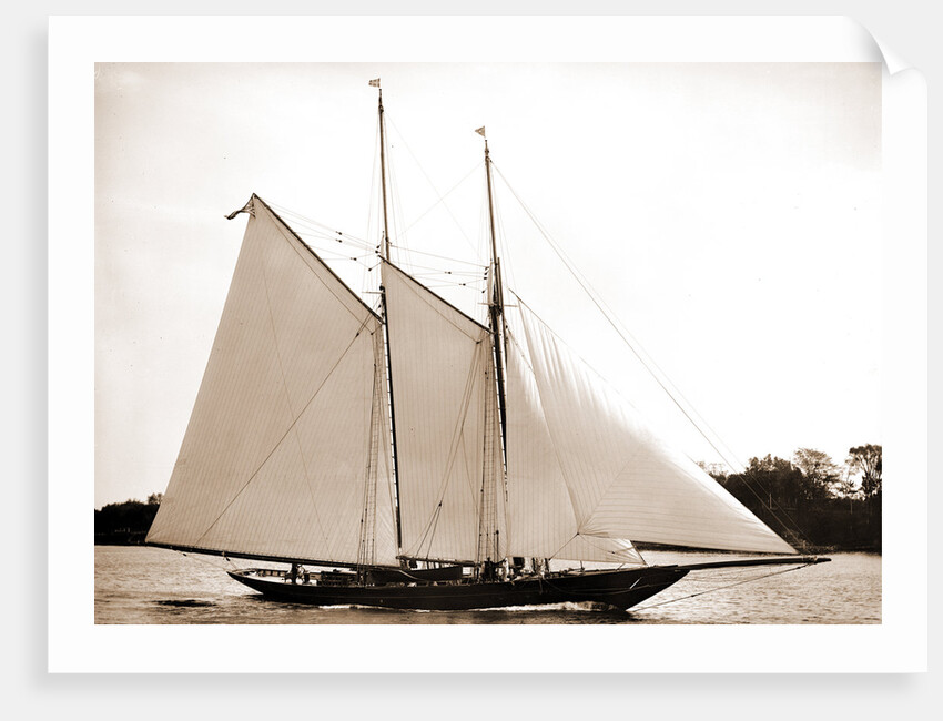 Ariel (Schooner), 1893 by Anonymous