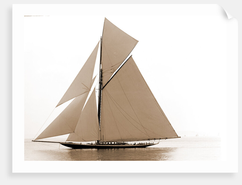 Valkyrie III (Yacht) by Anonymous