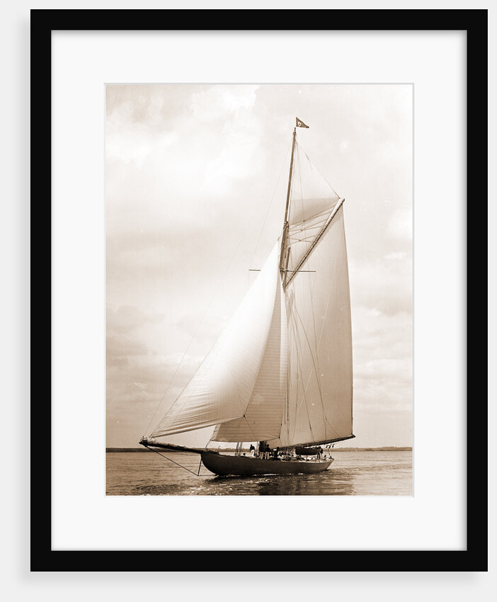 Shamrock I (Yacht) by Anonymous