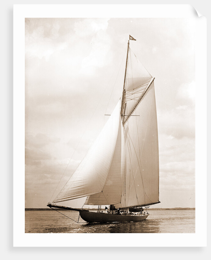 Shamrock I (Yacht) by Anonymous