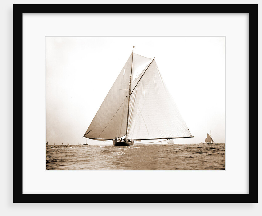 Shamrock I, stern view, Shamrock I (Yacht) by Anonymous