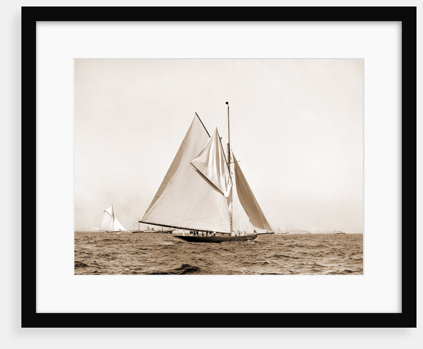 Shamrock I, setting top sail by Anonymous