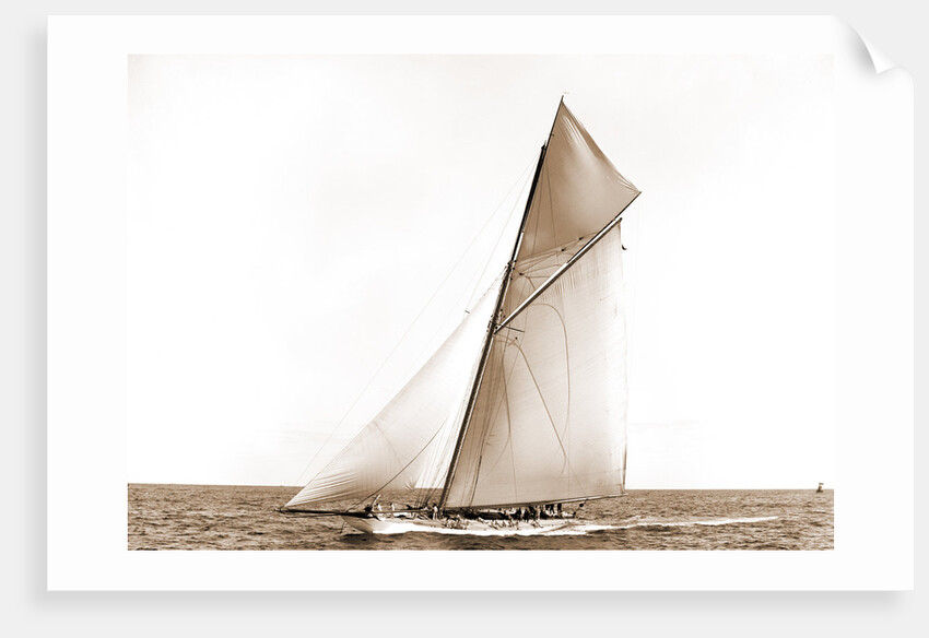 Columbia setting spinnaker boom, Oct. 3, 1899 by Anonymous