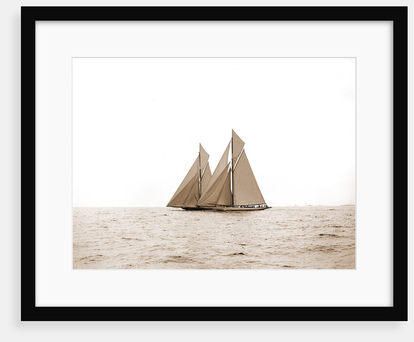 Shamrock I and Columbia, the start, Columbia (Sloop), Shamrock I (Yacht) by Anonymous