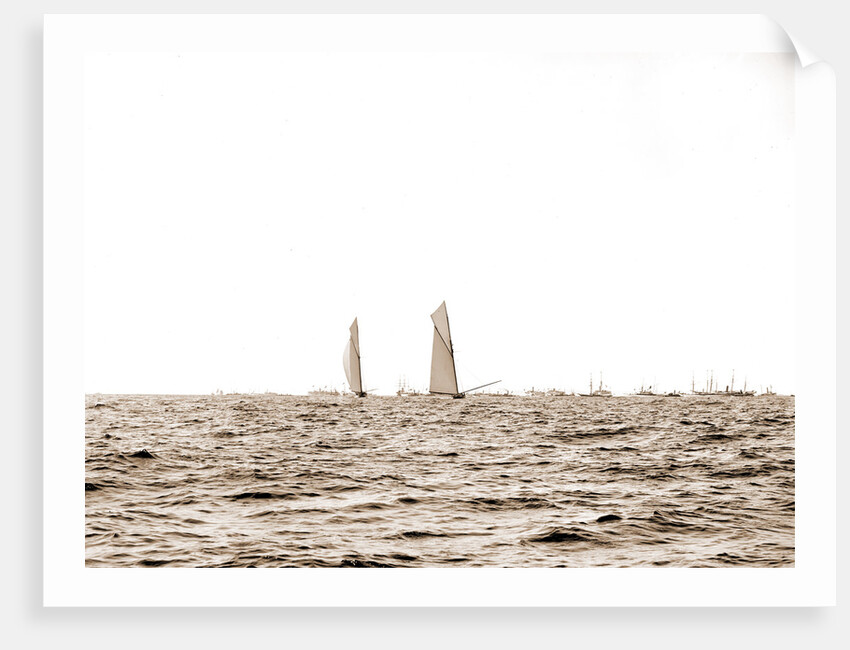 Columbia and Shamrock I, luffing into the excursion fleet, Columbia (Sloop), Shamrock I (Yacht) by Anonymous
