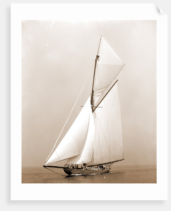 Shamrock I (Yacht) by Anonymous