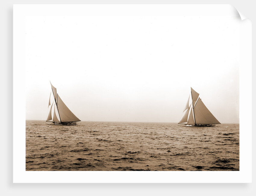 Shamrock I and Columbia two minutes after start, Columbia (Sloop), Shamrock I (Yacht) by Anonymous