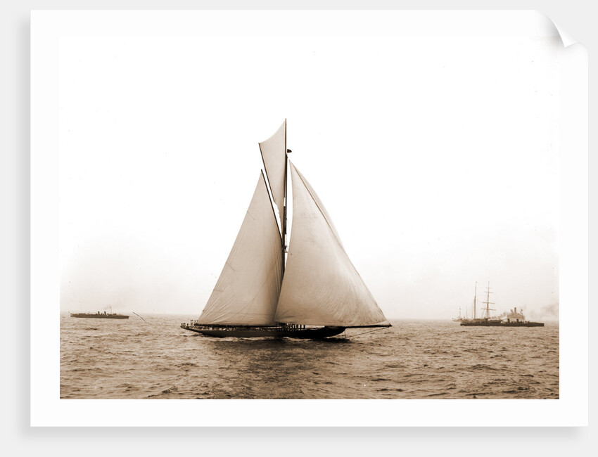 Shamrock I crossing finishing line, Shamrock I (Yacht) by Anonymous